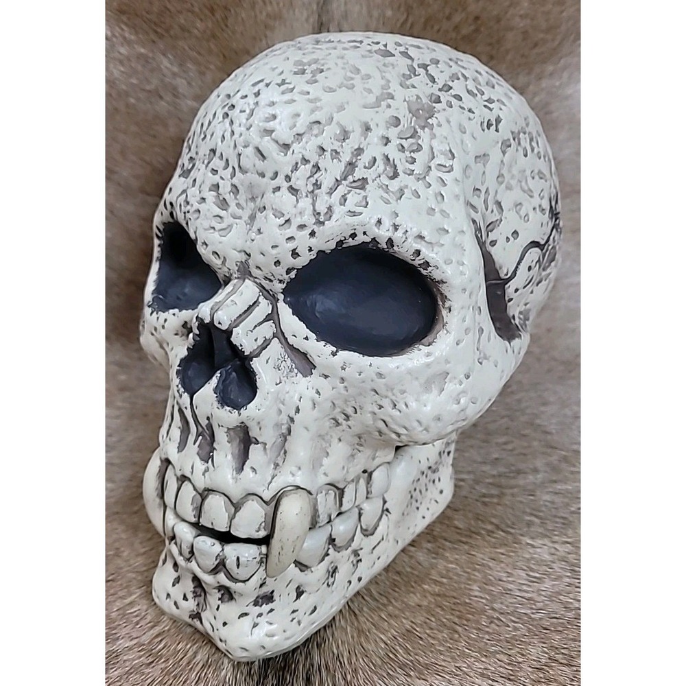 Halloween Life Size Plastic Hollow Skull Movable Jaw Prop Decoration Spooky